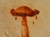(2015) funghi#6, olio, ruggine e resina su carta. (2015) mushrooms#6, oil, rust and resin on paper.