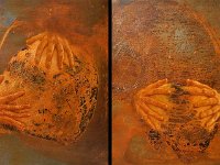 soul#16, olio su lamiera ossidata, cm 90x180 soul#1, oil painting on oxidized iron sheet, cm 90x180